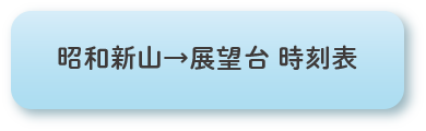 昭和新山→展望台 時刻表