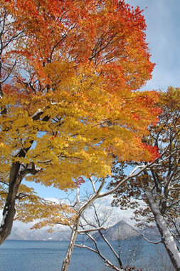 有珠山噴火記念公園