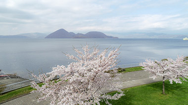 Cherry blossoms along Lake Toya