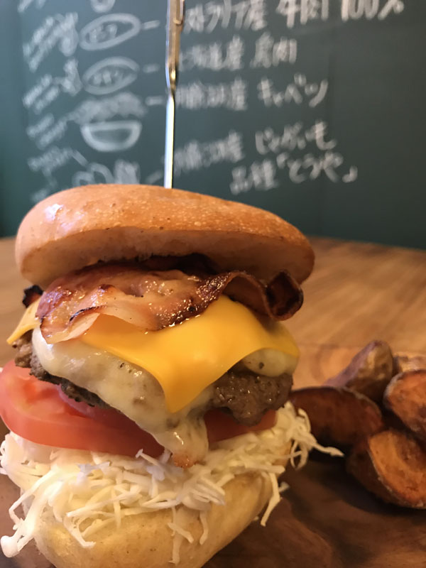 Hydune original Hamburger with  french fries